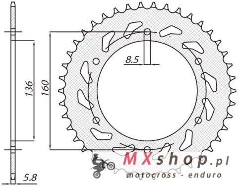 SUNSTAR ZĘBATKA TYLNA 3552 42 APRILIA PEGASO 600 '90-'93, PEGASO 650 '92-'04, BMW F650 '92-'04 (JTR5.42)* (ŁAŃC.520) (355242JT) SUNSTAR ZĘBATKA TYLNA 3552 42 APRILIA PEGASO 600 '90-'93, PEGASO 650 '92-'04, BMW F650 '92-'04 (JTR5.42)* (ŁAŃC.520) (355242JT)