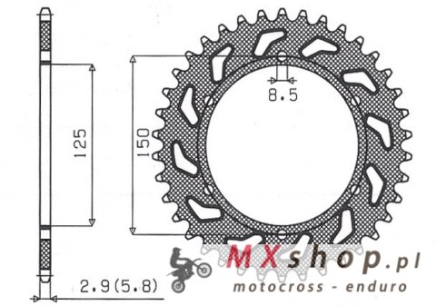 SUNSTAR ZĘBATKA TYLNA 899 48 KTM SX/EXC (JTR897.48) (ŁAŃC. 520) (89948JT) SUNSTAR ZĘBATKA TYLNA 899 48 KTM SX/EXC (JTR897.48) (ŁAŃC. 520) (89948JT)