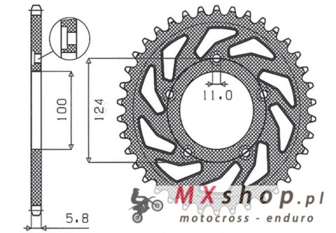 SUNSTAR ZĘBATKA TYLNA 4444 45 DUCATI MONSTER / ABS 821 '15- 20, PANIGALE 899 898 '14-15, SCRAMBLER ABS 800 '15-16 (JTR746.45) (Ł SUNSTAR ZĘBATKA TYLNA 4444 45 DUCATI MONSTER / ABS 821 '15- 20, PANIGALE 899 898 '14-15, SCRAMBLER ABS 800 '15-16 (JTR746.45) (Ł