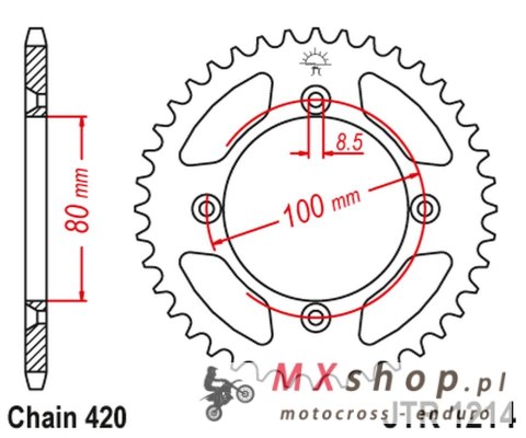 JT ZĘBATKA TYLNA 238 36 HONDA CRF 70 '04-12'; CRF 110 '13-21', XR 70/80 '97-03', CR 50/80 '82-84' (23836JT) (ŁAŃC.420) JT ZĘBATKA TYLNA 238 36 HONDA CRF 70 '04-12'; CRF 110 '13-21', XR 70/80 '97-03', CR 50/80 '82-84' (23836JT) (ŁAŃC.420)