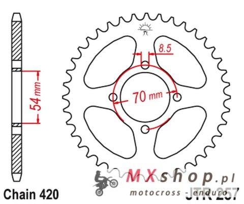 JT ZĘBATKA TYLNA 257 36 HONDA C 50/70 '75-87' (25736JT) (ŁAŃ420) NA ZAMÓWIENIE JT ZĘBATKA TYLNA 257 36 HONDA C 50/70 '75-87' (25736JT) (ŁAŃ420) NA ZAMÓWIENIE