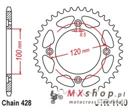 JT ZĘBATKA TYLNA 4478 54 BETA 125 RR/RE '08-20' (447854JT) (ŁAŃC. 428)