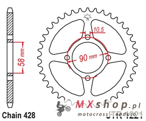 JT ZĘBATKA TYLNA 4669 42 HONDA CBR 125 11-17 (-2) (446942JT) (ŁAŃC. 428) OTWÓR NA ŚRUBĘ 10,5 - MOŻE BYŻ ZASTĄPIONA PRZEZ 269 42 JT ZĘBATKA TYLNA 4669 42 HONDA CBR 125 11-17 (-2) (446942JT) (ŁAŃC. 428) OTWÓR NA ŚRUBĘ 10,5 - MOŻE BYŻ ZASTĄPIONA PRZEZ 269 42