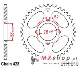 JT ZĘBATKA TYLNA 810 36 SUZUKI GN 125 '82-'00 (-6) (81036JT) (ŁAŃC. 428)