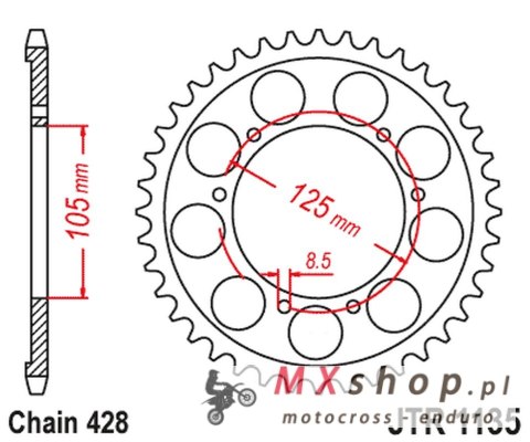 JT ZĘBATKA TYLNA APRILIA SX 125 '18-'23 (JTR1135.62)* (ŁAŃC. 428) JT ZĘBATKA TYLNA APRILIA SX 125 '18-'23 (JTR1135.62)* (ŁAŃC. 428)