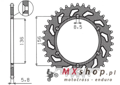SUNSTAR ZĘBATKA TYLNA 702 43 HUSQVARNA SM 610 (08-09), SUZUKI DR350 (90-03), RGV 250 (91-96) (JTR822.43) (ŁAŃC. 520) (70243JT) SUNSTAR ZĘBATKA TYLNA 702 43 HUSQVARNA SM 610 (08-09), SUZUKI DR350 (90-03), RGV 250 (91-96) (JTR822.43) (ŁAŃC. 520) (70243JT)