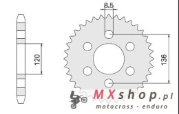 CHT ZĘBATKA TYLNA 859 39 (846-39) (JTR846.39) YAMAHA FZS 600 FAZER 96-03