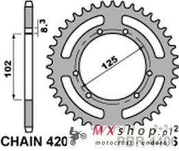 PBR ZĘBATKA TYLNA 4406 53 F DERBI SENDA 50R/SM 00-12 (ŁAŃC. 420) (JTR1132.53)