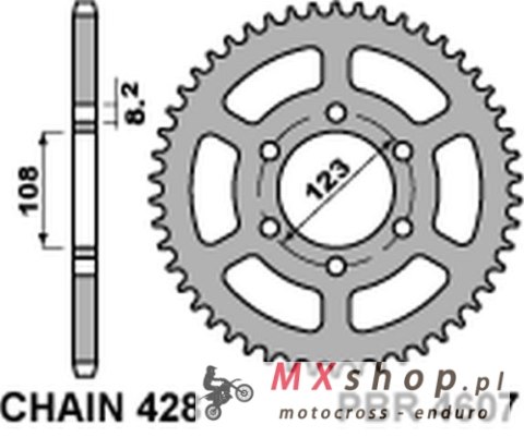 PBR ZĘBATKA TYLNA 4607 49 C45 DERBI GPR 125 4T 09-13 (ŁAŃC. 428) PBR ZĘBATKA TYLNA 4607 49 C45 DERBI GPR 125 4T 09-13 (ŁAŃC. 428)