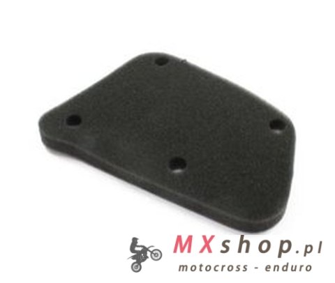 ATHENA FILTR POWIETRZA BETA TEMPO 50 '94-'99, CHRONO 50 '95-'99 (OEM:1525060000) ATHENA FILTR POWIETRZA BETA TEMPO 50 '94-'99, CHRONO 50 '95-'99 (OEM:1525060000)