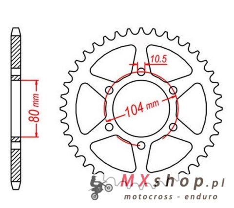 MTX PARTS ZĘBATKA TYLNA 478 43 KAWASAKI ZX6R '05-'17, Z 750 (47843JT) (ŁAŃC. 520) (SREBRNA) MTX PARTS ZĘBATKA TYLNA 478 43 KAWASAKI ZX6R '05-'17, Z 750 (47843JT) (ŁAŃC. 520) (SREBRNA)
