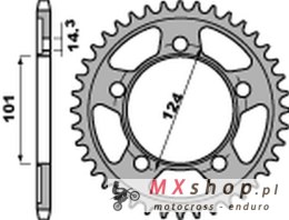 PBR ZĘBATKA TYLNA 4508 42 C45 KTM 950/990/1190 RC8 /DUKE/ SUPERMOTO (JTR898.42) (ŁAŃC. 525)