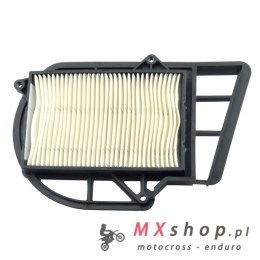 TECNIUM (VICMA) FILTR POWIETRZA - WKŁAD FILTRA ITALJET JUPITER, MALAGUTI PASSWORD, YAMAHA VPRAWY YP 250/300 2000-2012 (14513)