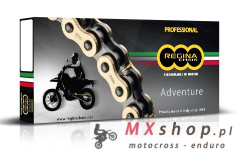 REGINA ŁAŃCUCH NAPĘDOWY 520ZRE (118 OGNIW) Z-RING ENDURO DO 650CCM (ZŁOTY) (ZAPINKA+ZAKUWKA PEŁNA+ ZAKUWKA DRĄŻONA) (135ZRE/1007 REGINA ŁAŃCUCH NAPĘDOWY 520ZRE (118 OGNIW) Z-RING ENDURO DO 650CCM (ZŁOTY) (ZAPINKA+ZAKUWKA PEŁNA+ ZAKUWKA DRĄŻONA) (135ZRE/1007