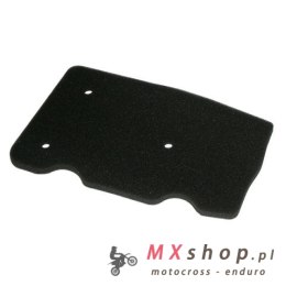 MIW (MEIWA) FILTR POWIETRZA MALAGUTI CIAK 50 '99-02, (50)