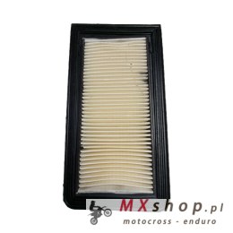 BIKETEC PARTS FILTR POWIETRZA SUZUKI AN 650 BURGMAN '02-18, (OEM 13780-10G00) (HFA3619)