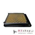 BIKETEC PARTS FILTR POWIETRZA SYM JOYRIDE 125/200 '03-15, (OEM 17211-HLK-000) (HFA5102)