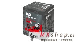 SILKOLENE OLEJ SILNIKOWY 100% SYNTETYCZNY ESTER PRO 4 PLUS 10W60 4L