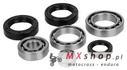 ALL BALLS ZESTAW NAPRAWCZY SKRZYNI BIEGÓW POLARIS RZR 900/1000 16-19, RZR XP 14-19 - PATRZ OPIS DODATKOWY