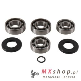 ALL BALLS ZESTAW NAPRAWCZY SKRZYNI BIEGÓW POLARIS SPORT 400 '99