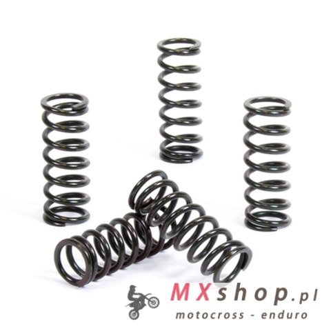 PROX SPRĘŻYNY SPRZĘGŁOWE SUZUKI RM 80-85 89-19