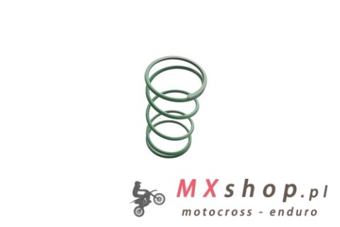 PARMAKIT SPRĘŻYNA SPRZĘGŁA GILERA PIAGGIO +15%