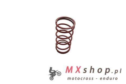 PARMAKIT SPRĘŻYNA SPRZĘGŁA APRILIA YAMAHA +30%