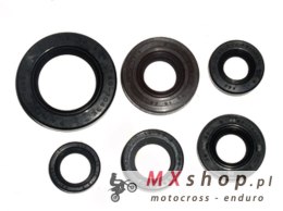 BRONCO KOMPLET (ZESTAW) USZCZELNIACZY SILNIKOWYCH HONDA TRX 300EX '93-'08
