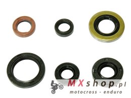 BRONCO KOMPLET (ZESTAW) USZCZELNIACZY SILNIKOWYCH HONDA TRX 400 EX FOURTRAX '98-'08