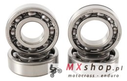 HOT RODS ZESTAW NAPRAWCZY WAŁKA WYRÓWNOWAŻAJĄCEGO (ŁOŻYSKA) YAMAHA YFM 700 RAPTOR 06-14