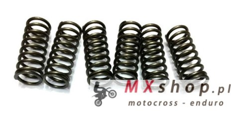 JR WYPRZEDAŻ EBS SPRĘŻYNY SPRZĘGŁOWE HONDA CB450/500, CMX450, FT500, XL500/600, TRIUMPH BONNEVILLE 800/865 DAYTONA 650/1000, SCR