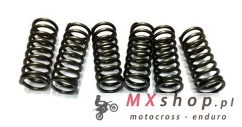 JR WYPRZEDAŻ EBS SPRĘZYNY SPRZĘGŁOWE KAWASAKI KXF 450 '06-'14, KLX 450R '08-'12