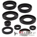 WINDEROSA (VERTEX) KOMPLET (ZESTAW) USZCZELNIACZY SILNIKOWYCH ARCTIC CAT 400 4X4 '98-'00, 454 2X4 '97-'98, 454 4X4 '96-'98, 500 