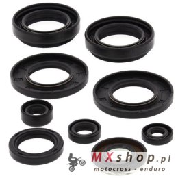 WINDEROSA (VERTEX) KOMPLET (ZESTAW) USZCZELNIACZY SILNIKOWYCH ARCTIC CAT 400 4X4 '98-'00, 454 2X4 '97-'98, 454 4X4 '96-'98, 500 