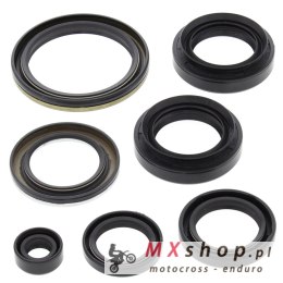 WINDEROSA (VERTEX) KOMPLET (ZESTAW) USZCZELNIACZY SILNIKOWYCH ARCTIC CAT 400 4X4 W/AT '03-'04, 400 FIS 4X4 W/AT '03-'05, LT-A400