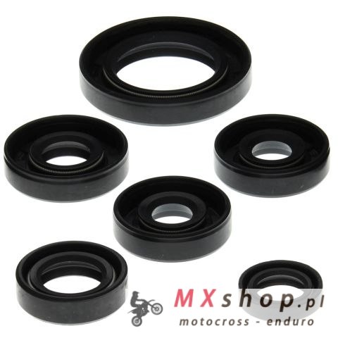 WINDEROSA (VERTEX) KOMPLET (ZESTAW) USZCZELNIACZY SILNIKOWYCH CAN-AM DS650 00-07