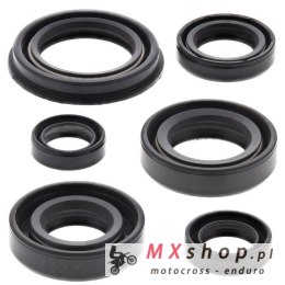 WINDEROSA (VERTEX) KOMPLET (ZESTAW) USZCZELNIACZY SILNIKOWYCH HONDA XR250R 96-04