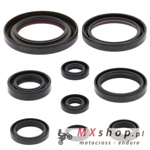 WINDEROSA (VERTEX) KOMPLET (ZESTAW) USZCZELNIACZY SILNIKOWYCH HONDA TRX450 ER 06-14, TRX450R 06-09
