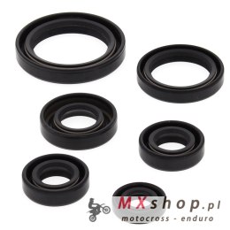 WINDEROSA (VERTEX) KOMPLET (ZESTAW) USZCZELNIACZY SILNIKOWYCH KAWASAKI KEF300 LAKOTA 95-03, POLARIS 450 HO 2X4 MD 16