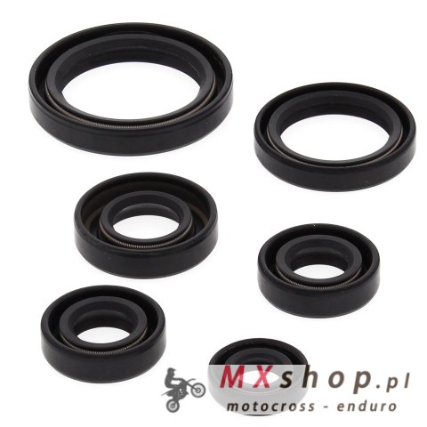 WINDEROSA (VERTEX) KOMPLET (ZESTAW) USZCZELNIACZY SILNIKOWYCH KAWASAKI KEF300 LAKOTA 95-03, POLARIS 450 HO 2X4 MD 16