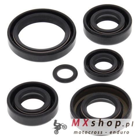 WINDEROSA (VERTEX) KOMPLET (ZESTAW) USZCZELNIACZY SILNIKOWYCH KAWASAKI KLF300A BAYOU 86-87, KLF300B BAYOU 88-05, KLF300C BAYOU 4