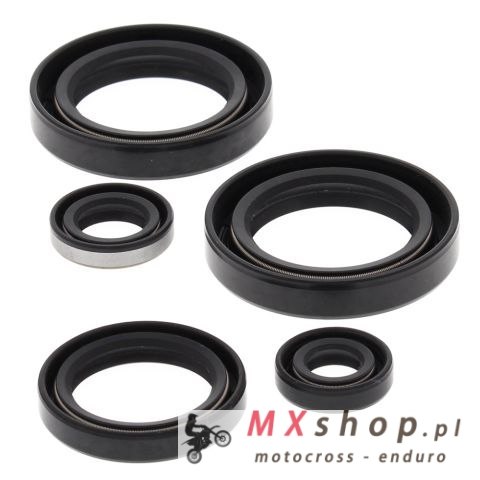 WINDEROSA (VERTEX) KOMPLET (ZESTAW) USZCZELNIACZY SILNIKOWYCH KAWASAKI KVF300A PRAIRIE 4X4 99-02, KVF300B PRAIRIE 2X4 99-02