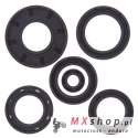 WINDEROSA (VERTEX) KOMPLET (ZESTAW) USZCZELNIACZY SILNIKOWYCH KAWASAKI KVF650/750 BRUTE FORCE 05-11