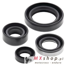 WINDEROSA (VERTEX) KOMPLET (ZESTAW) USZCZELNIACZY SILNIKOWYCH SUZUKI DR 350SE(DR350) '90-'99