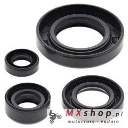 WINDEROSA (VERTEX) KOMPLET (ZESTAW) USZCZELNIACZY SILNIKOWYCH SUZUKI DR650SE 96-17