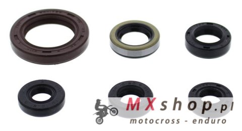 WINDEROSA (VERTEX) KOMPLET (ZESTAW) USZCZELNIACZY SILNIKOWYCH SUZUKI LT-Z400 09-14