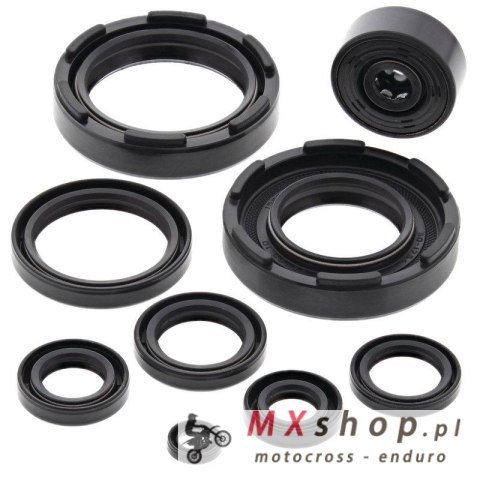 WINDEROSA (VERTEX) KOMPLET (ZESTAW) USZCZELNIACZY SILNIKOWYCH YAMAHA YZ250 83-87