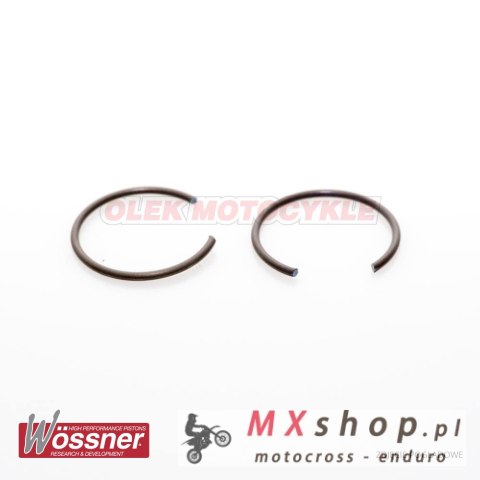 WOSSNER ZABEZPIECZENIE SWORZNIA (2SZT.) CW20