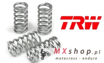 TRW ZF SPRĘŻYNY SPRZĘGŁOWE BMW F 650 GS 08-12, F 700 GS 16-20, F 800 GS / GS ADVENTURE 08-15, F 800 GT 13-16, F 800 R 09-20, F 8