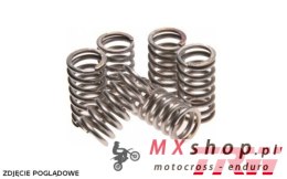 TRW ZF SPRĘŻYNY SPRZĘGŁOWE HONDA CBR 600 87-88, CX 650 83, GL 650 GOLDWING 83-85, SUZUKI DR 600 86-89, GSX-F / R 750 89-97, GSX-